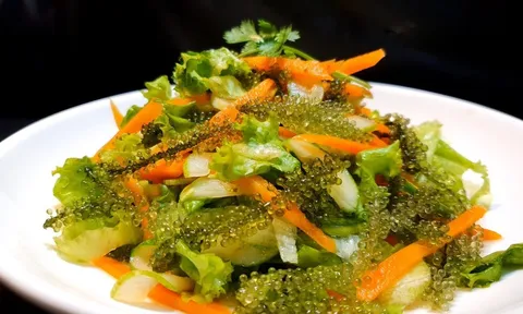 Những công dụng tuyệt vời của rong nho đối với sức khỏe của con người