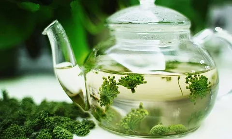 Nụ tam thất có tác dụng gì, nên dùng tam thất tươi hay khô tốt hơn?