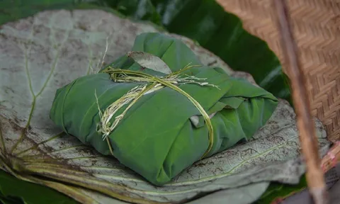 Loại lá thường dùng gói xôi nhưng là 'thần dược' trị bệnh cực kỳ hiệu quả