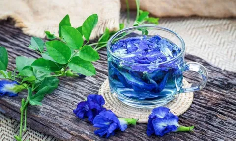 Công dụng tuyệt vời của hoa đậu biếc: Vừa có tác dụng làm đẹp, lại có thể ngăn ngừa nhiều bệnh