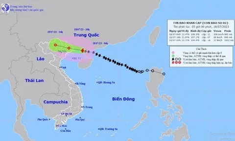 Tin bão mới nhất: Bão số 1 cách Móng Cái khoảng 120km, gây gió mạnh nhiều nơi