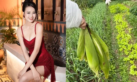 Á hậu Đào Hiền khoe không gian sống khang trang bề thế, vườn rau sạch khiến hội chị em mơ ước