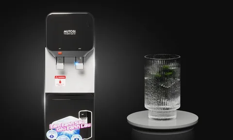 5+ Tiêu chí chọn cây nước nóng lạnh 'xịn sò' cho gia đình