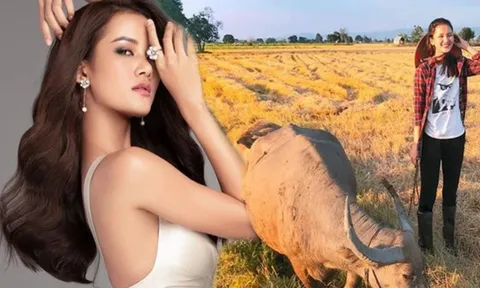 Giám đốc Quốc gia Miss Universe Vietnam nói về tin đồn Hương Ly thi Miss Universe 2023