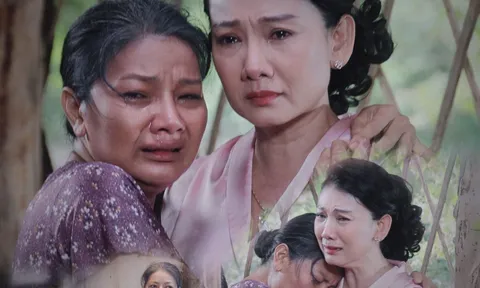 Bộ phim 'Mặt trời mùa đông' đạt 80 triệu lượt xem, loạt chi tiết khiến người xem xúc động