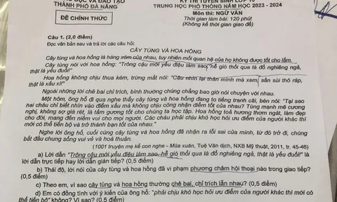 Đáp án đề thi lớp 10 môn Ngữ văn Tp. Đà Nẵng năm 2023