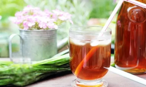 Nhân trần: Loại cây phổ biến, công dụng hữu hiệu với người bệnh gan