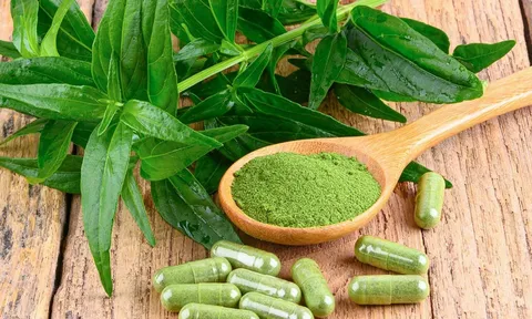 Xuyên tâm liên: Loại cây với 100+ công dụng mà ít người biết tới