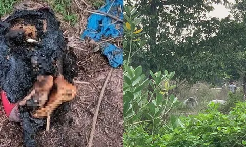 Thông tin mới liên quan tới vụ phân xác rùng rợn tại Bình Dương