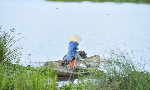 Độc lạ ngôi nhà hình trái tim nổi tiếng nhất nhì Việt Nam mà có thể bạn chưa biết