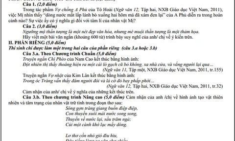 Những đề thi môn Văn từng gây bỡ ngỡ, vấp phải nhiều chỉ trích do chủ đề nhạy cảm