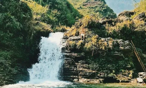 Nam thanh niên tử vong tại Hà Giang sau khi phớt lờ cảnh báo mạo hiểm