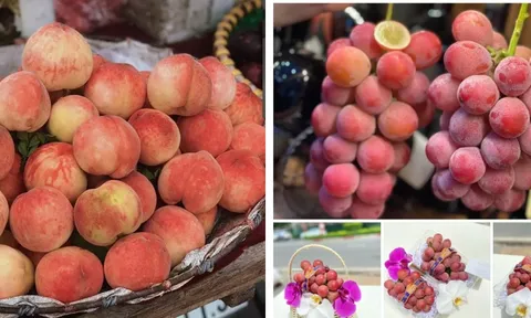 Loại quả đắt đỏ nhất thế giới xuất hiện tràn lan tại chợ Hà Nội, liệu có đắt đỏ như lời đồn?