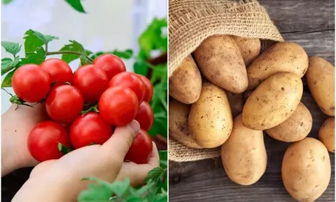 11 loại thực phẩm tuyệt đối không nên cho vào tủ lạnh