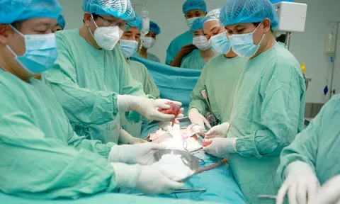 Ca hiến tạng sau khi chết não đầu tiên tại miền Trung - Tây Nguyên: Cứu sống cùng lúc 2 bệnh nhân