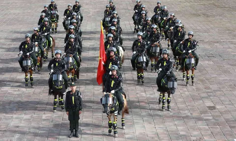 Mãn nhãn Chung kết hội thi Điều lệnh, bắn súng, võ thuật Công an Nhân dân khu vực phía Nam