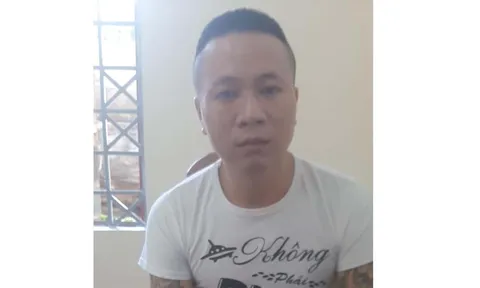 Gia Lai: Bắt lâm tặc bỏ trốn sau khi đốn hạ 7 cây gỗ hương quý hiếm