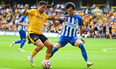 Trực tiếp Brighton vs Wolves, 02h45 ngày 23/01/2024