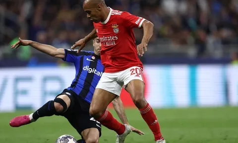 Nhận định, dự đoán FC Porto vs Benfica, 03h30 ngày 04/03/2024