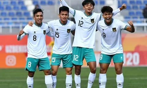 Đại diện Đông Nam Á mất ngàn tỷ sau khi nhận phán quyết buồn từ FIFA