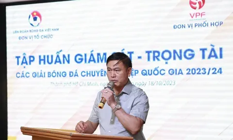Đại diện LĐBĐ Việt Nam: 'Mời trọng tài ngoại chỉ là giải pháp tình thế'