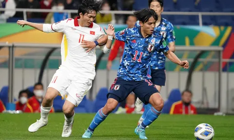 Ngắm 3 SVĐ tuyệt đẹp mà ĐT Việt Nam thi đấu tại Asian Cup