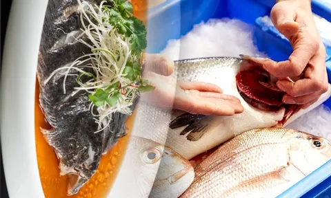 Đầu bếp mách cách chọn cá tươi, chỉ cần liếc mắt nhìn một bộ phận, không cần sờ tay biết ngay chất lượng