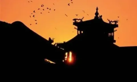 Cứ đêm đến từng đàn quạ tập trung về Tử Cấm Thành, bí ẩn nào của cố cung thu hút loài chim 'xui xẻo'?