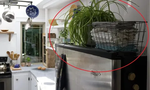 Tủ lạnh trong nhà không phạm 5 đại kỵ này thì vận số gia chủ rất tốt, tụ tài hút lộc, có của ăn của để