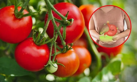 3 khắc tinh của cà chua nhất định phải tránh ăn cùng kẻo bụng dạ 'kêu cứu'