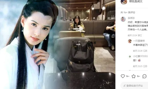 'Tiểu Long Nữ' Lý Nhược Đồng ra tay cứu một gia đình 'mém đổ vỡ'