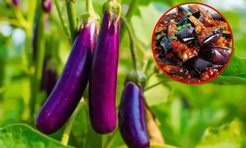Cà tím là 'vua các loại rau củ' nhưng có 5 kiểu người nhất định không được đụng đũa, phụ nữ càng phải chú ý