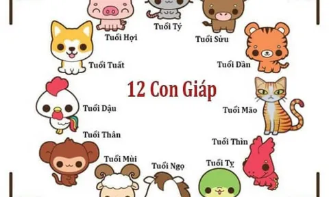 Tử vi 12 con giáp hôm nay ngày 9/6/2023: Tuổi Sửu đón tin vui, tuổi Dậu sa sút vì tự kiêu