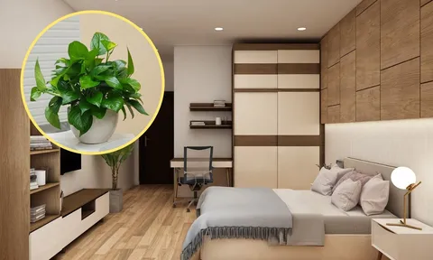 Nên và không nên đặt gì trong phòng ngủ để tài lộc dồi dào hơn?