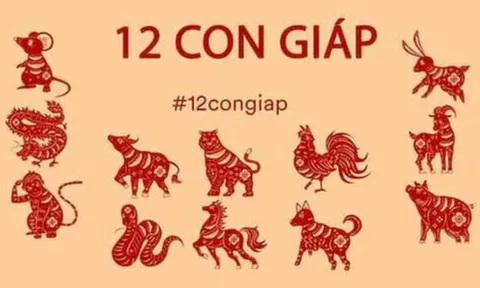 Tử vi 12 con giáp hôm nay ngày 18/6/2023: Tuổi Tý gặp gánh nặng công việc, tuổi Thìn cần tránh xa thị phi