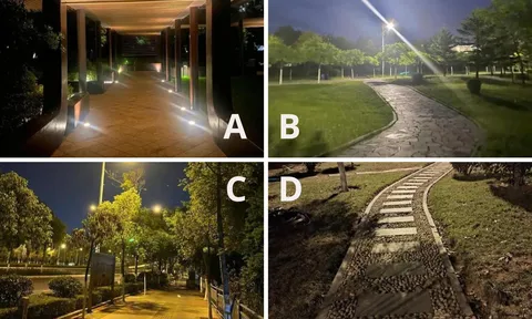 Trắc nghiệm: Chọn con đường bạn muốn đi dạo sau bữa tối để biết mình còn cách thành công bao xa