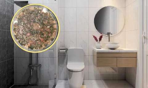5 ổ vi khuẩn thường 'tàng hình' trước mắt bạn mỗi lần dọn dẹp nhà cửa