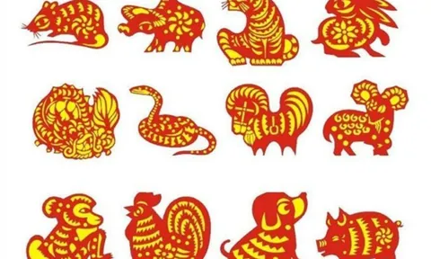Tử vi 12 con giáp hôm nay ngày 16/7/2023: Tuổi Tý được quý nhân soi đường, tuổi Mão đòi được nợ