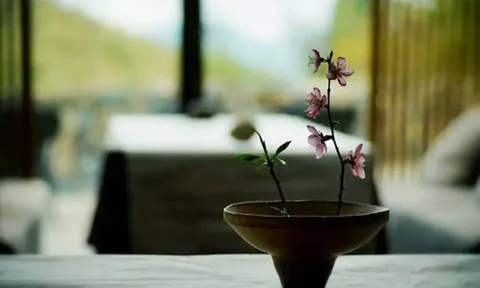 Ở đời, có 3 nơi con người không nên đến kẻo cuộc sống nông cạn, tài lộc hao mòn