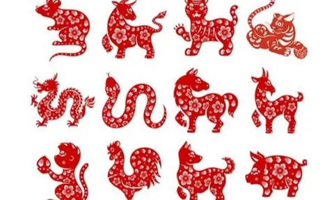 Tử vi 12 con giáp hôm nay ngày 20/7/2023: Tuổi Tý tâm trạng tệ do thời tiết, tuổi Mùi lại bị sếp mắng