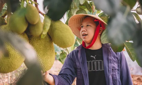 Nguyễn Thanh Hoàng - Khát khao xây dựng kênh Tiktok chia sẻ cuộc sống an lạc vùng cao nguyên