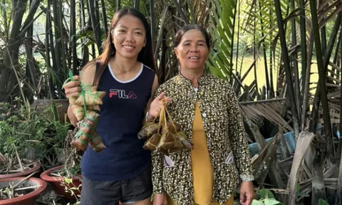 Huỳnh Như trở về quê nhà