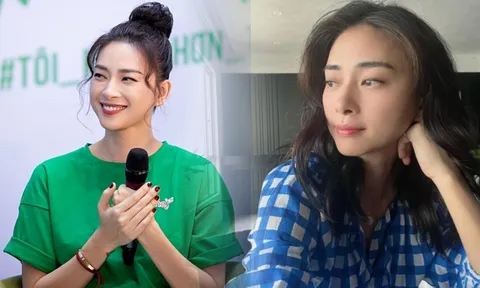 Ngô Thanh Vân đáp trả cực gắt sau khi bị nhắc nhở chuyện cơm áo gạo tiền 