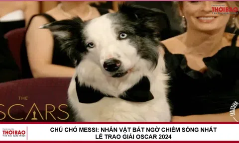 Chú chó Messi: Nhân vật bất ngờ chiếm sóng nhất lễ trao giải Oscar 2024