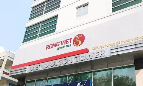 Báo lỗ nửa năm đầu, Rồng Việt sẽ phát hành thêm cổ phiếu để tăng vốn