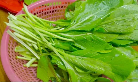 Các trường hợp kị rau cải, cố chấp ăn có thể rước bệnh vào người