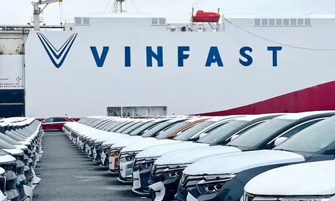 Chuyên gia Mỹ: VinFast sẽ cần một "chiến lược tử thần" để có thể bán xe tại đây!