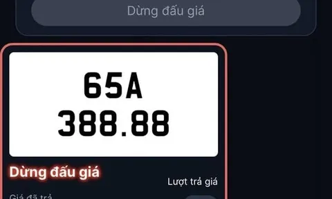 Hai trường hợp khiến biển số tứ quý 65A-388.88 dừng đột ngột giữa phiên đấu giá