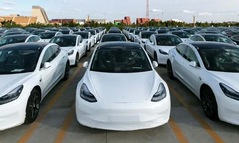 Thị trường Ô tô điện Trung Quốc cạnh tranh gay gắt, Tesla sắp bị vượt mặt