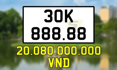Ngỡ ngàng trước số tiền trúng đấu giá"siêu biển" 30K-888.88 của TP. Hà Nội